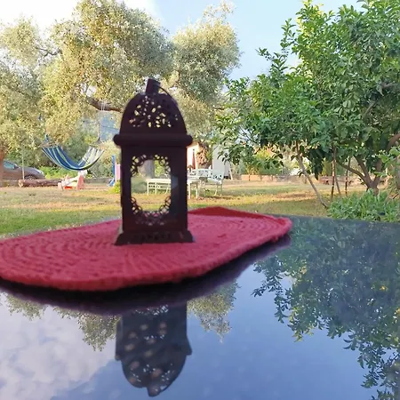 Daire Golden Vali House